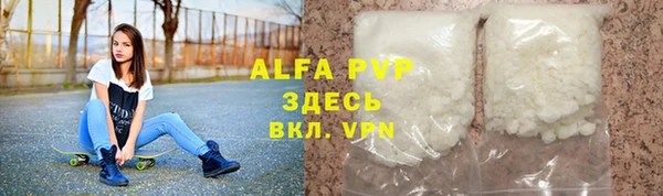 прущие грибы Баксан