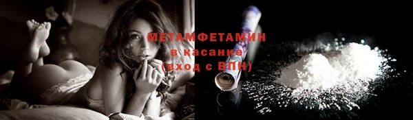 прущие грибы Баксан