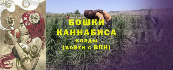 ГАЛЛЮЦИНОГЕННЫЕ ГРИБЫ Балабаново