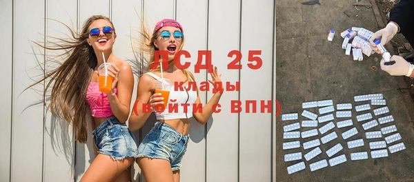 ГАЛЛЮЦИНОГЕННЫЕ ГРИБЫ Балабаново
