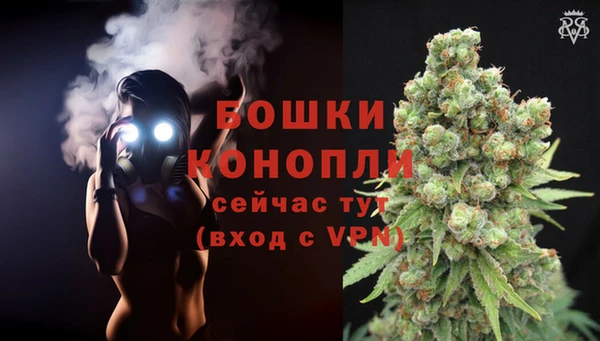 ГАЛЛЮЦИНОГЕННЫЕ ГРИБЫ Балабаново