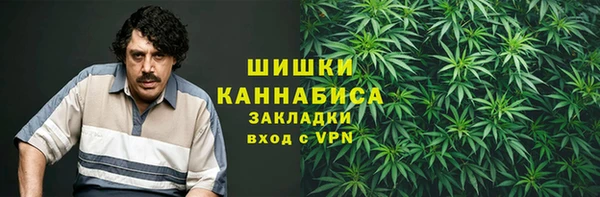 ГАЛЛЮЦИНОГЕННЫЕ ГРИБЫ Балабаново