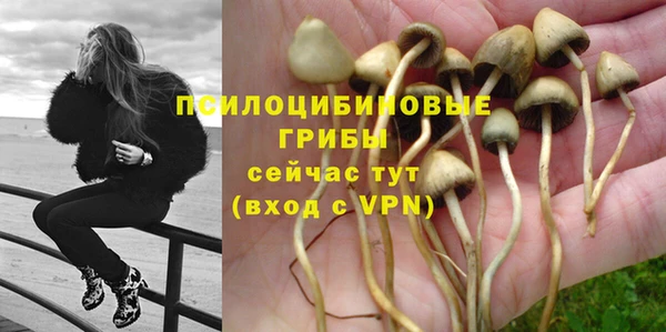 ALPHA PVP Покачи